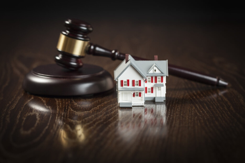 Uncategorized - Dogwood