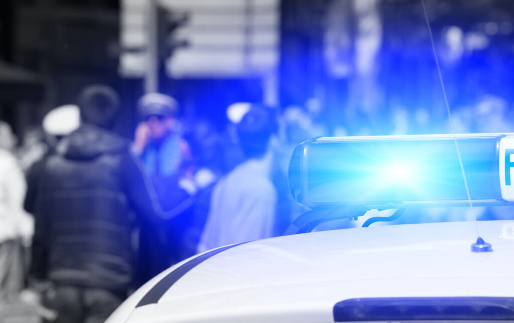 Associated Press - Dogwood