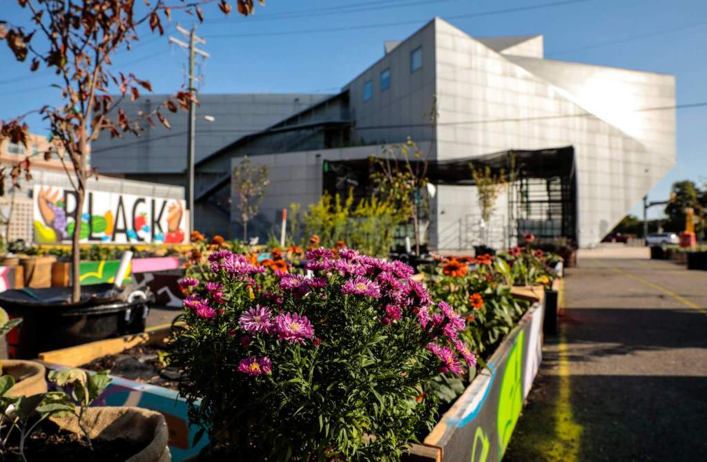 ‘Black Space Matters’ : Garden Project Highlights Inequality in Richmond