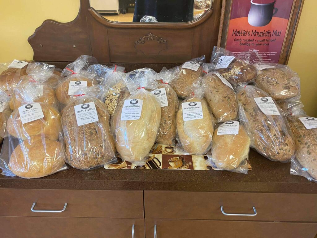 Amie Knowles - Dogwood