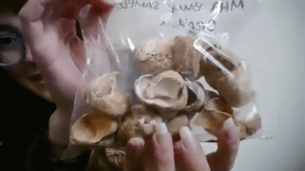 The Dig Goes On: William & Mary Students Find New Ways to Search for Fossils