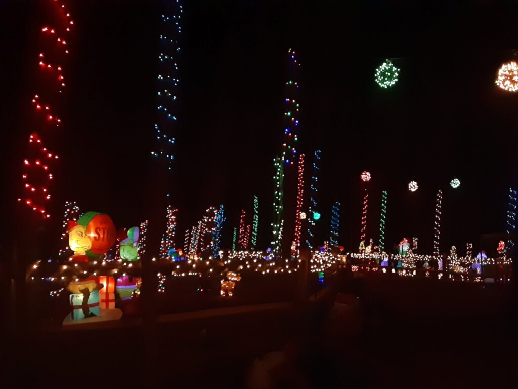 Amie Knowles - Dogwood