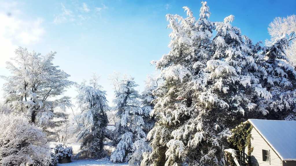 Major Winter Storm Heading for Virginia, Forecasters Warn
