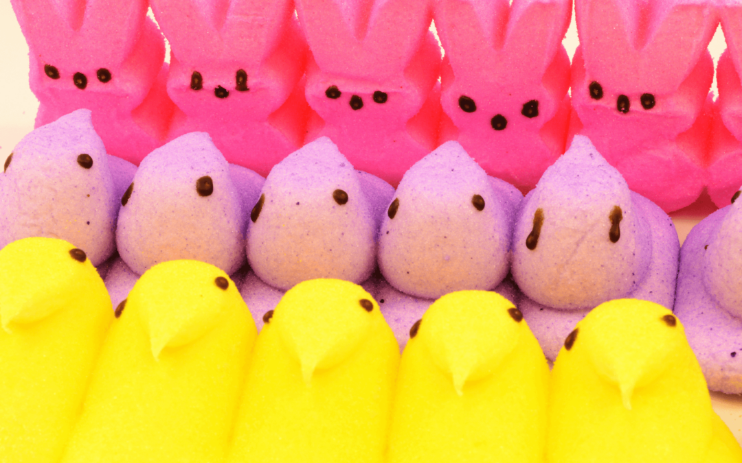 Dogwood Download: Things You Should Know For Monday, April 5