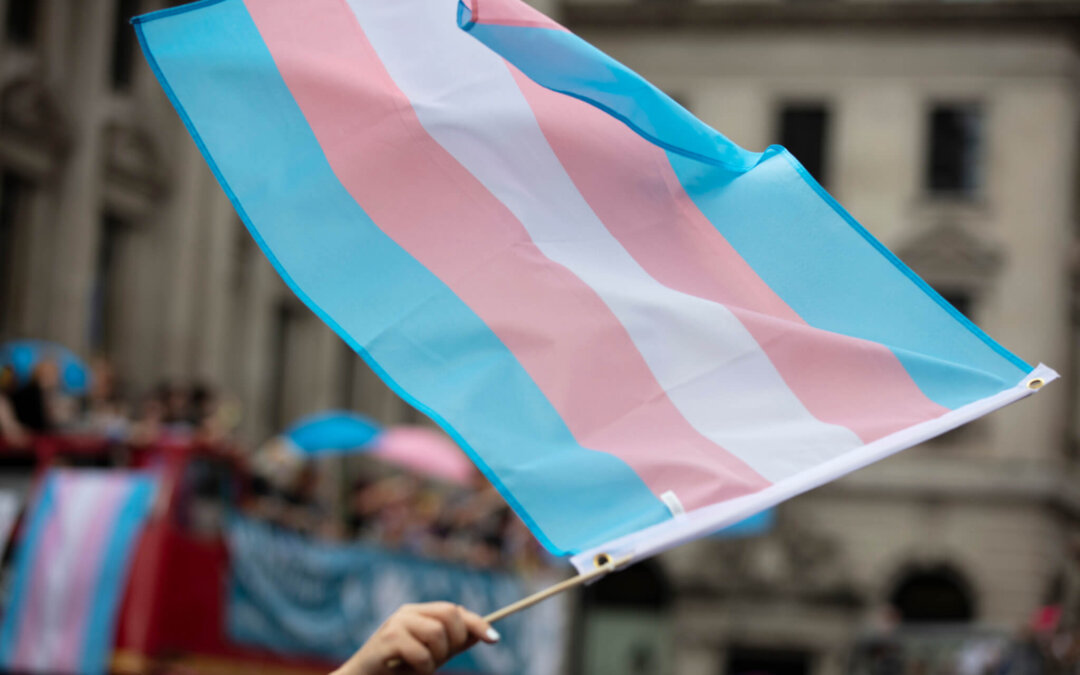 Dogwood Download: Things You Should Know For Thursday, April 1