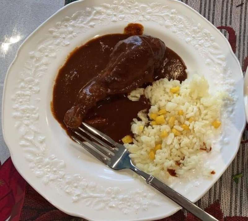 Mole and white rice