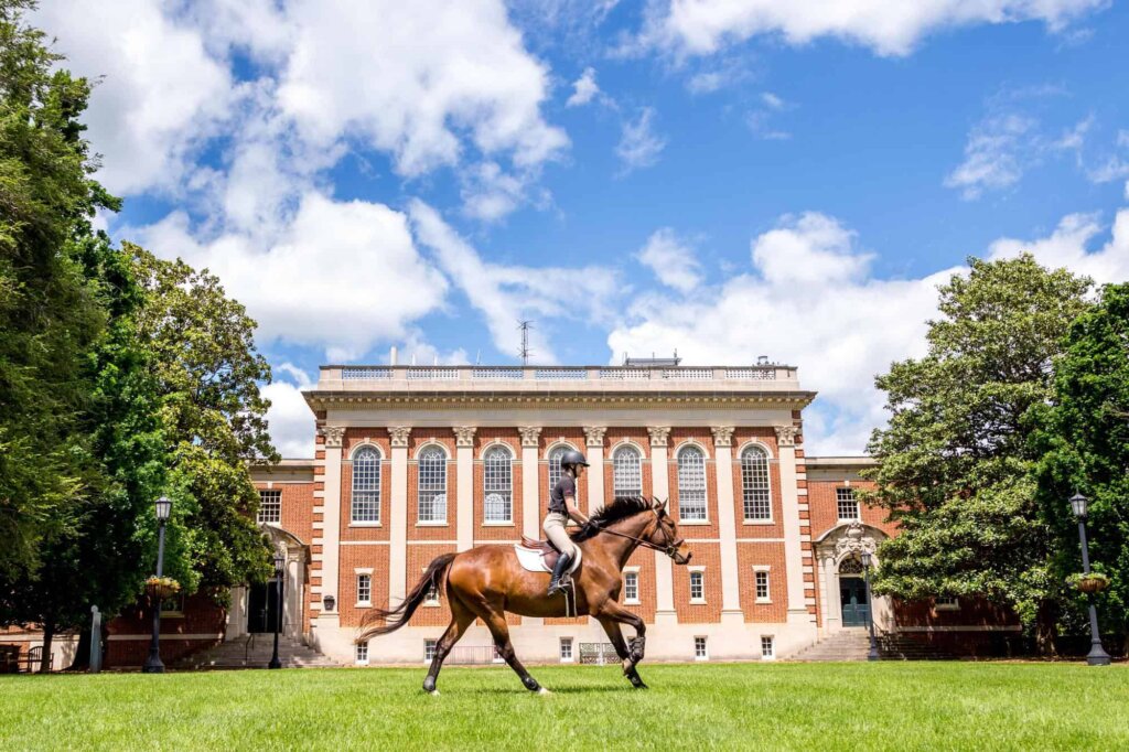 Uncategorized - Dogwood