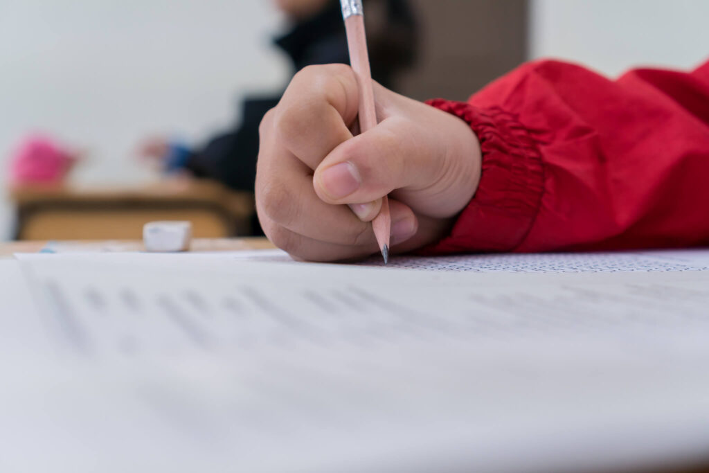 Uncategorized - Dogwood