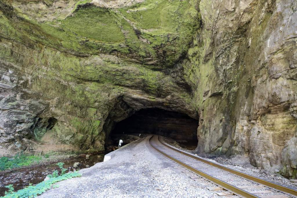 From a Natural Bridge to a Giant Swamp: Here Are 5 of Virginia’s Coolest Natural Wonders
