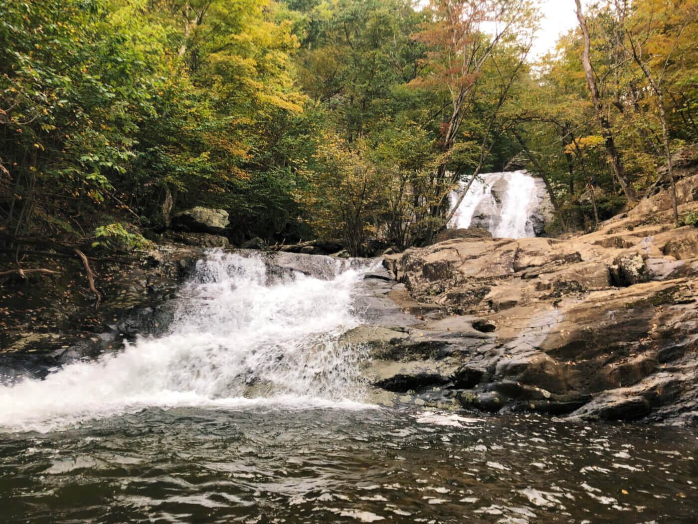 Are Swimming Holes a Thing in Virginia? Yes, and Here Are 10 Worth the Journey