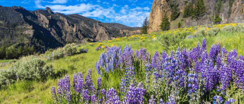 The history behind all 63 national parks in the US