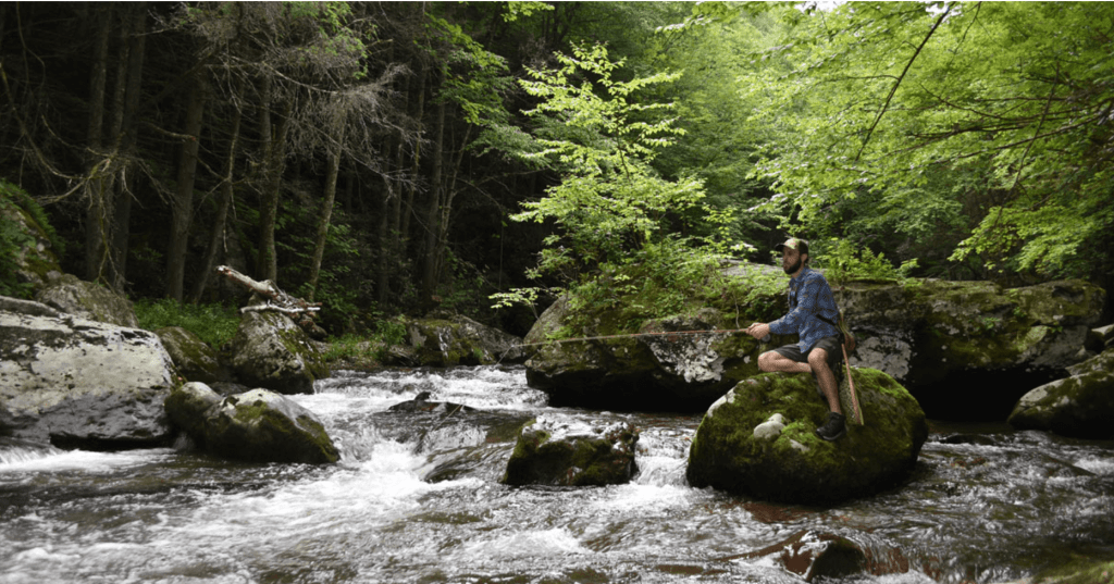 Reel in the Adventure: Discover Virginia’s 6 Best-Kept-Secret Fishing Holes