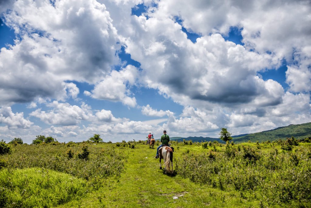 Last-Minute Virginia Day and Overnight Trips for the Perfect Fall Weekend