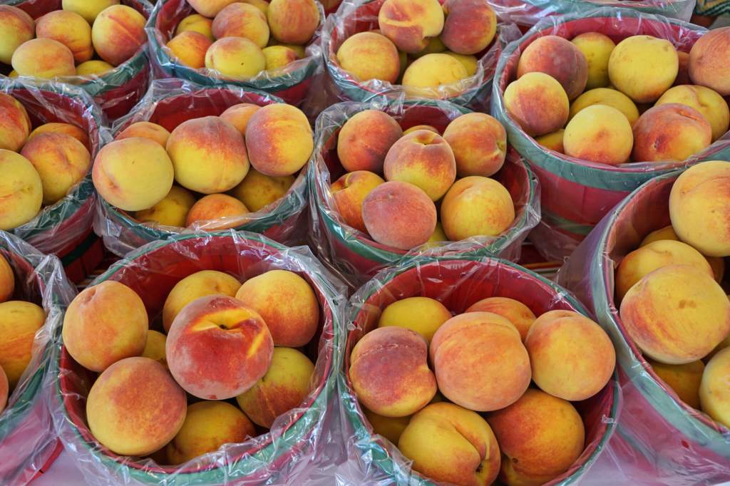 9 Pick-Your-Own Peach(es Peaches, Peaches, Peaches, Peaches) Orchards in Virginia
