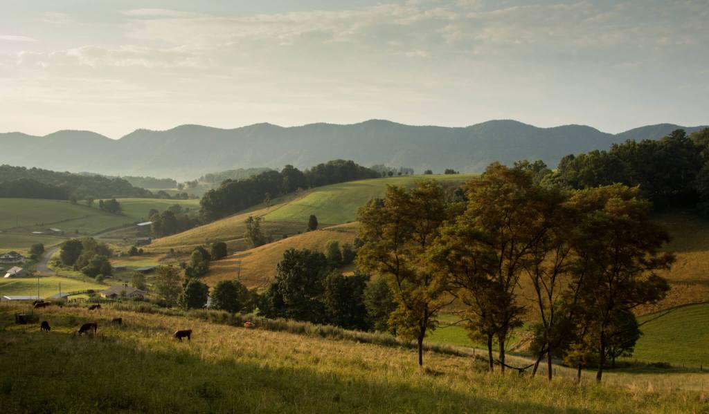 Federal Grant to Bring High-Speed Internet to Southwest Virginia Counties