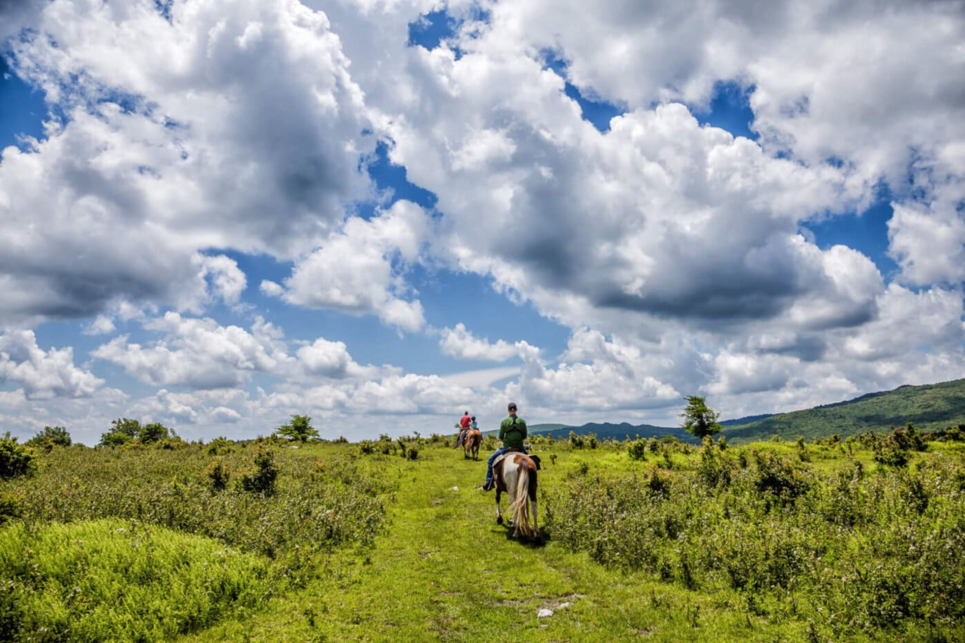 Photo courtesy of Virginia Tourism Corporation