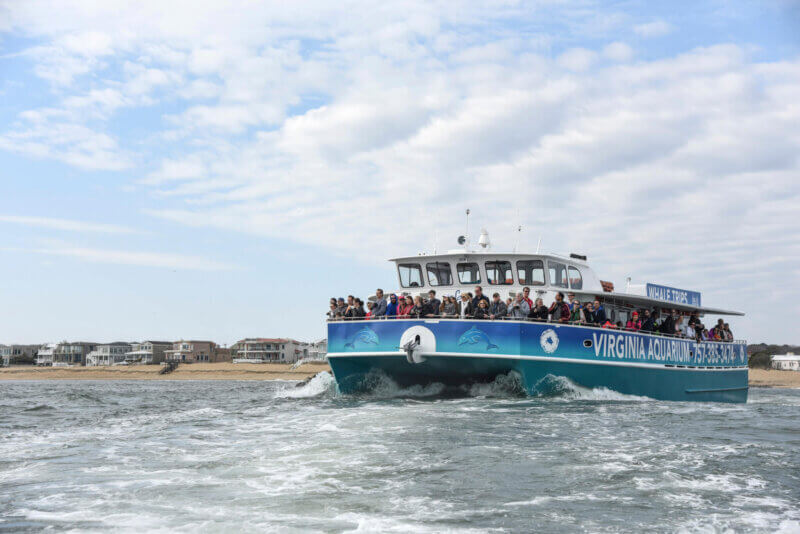 Where to Find the Most Scenic Spots in Virginia for Fun and Photos