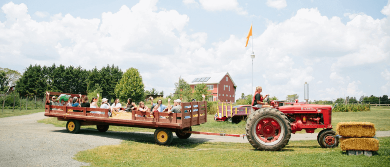 Northern VA's Ultimate Fall Adventure Guide: Hayrides, Orchards, Mazes & More