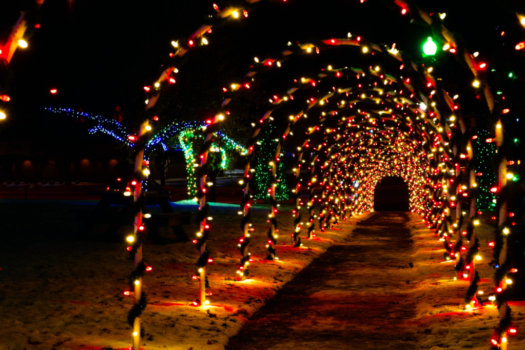Jingle All The Way To These Christmas Tree Farms & Light Displays in VA