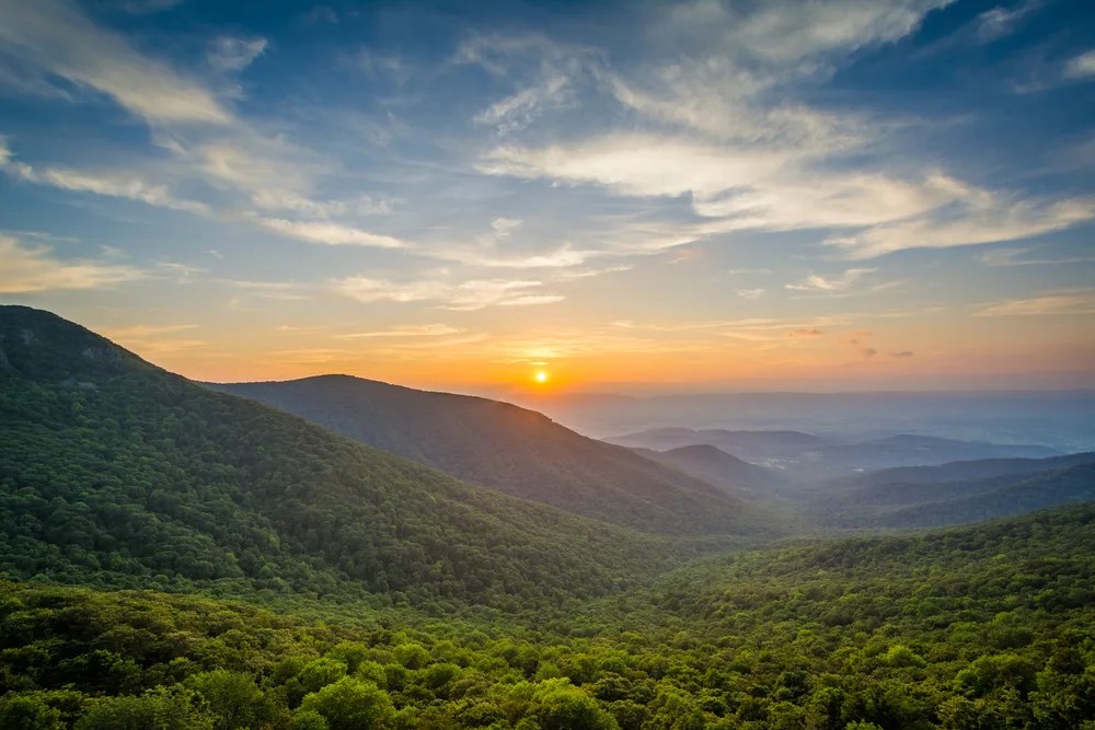 Discover the delicious delights of Virginia’s Shenandoah Valley
