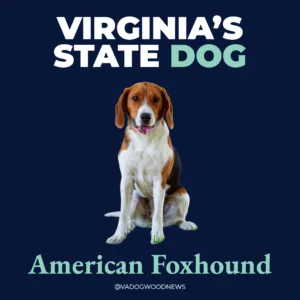 From the state rock to the state flower, here’s how Virginia got its symbols