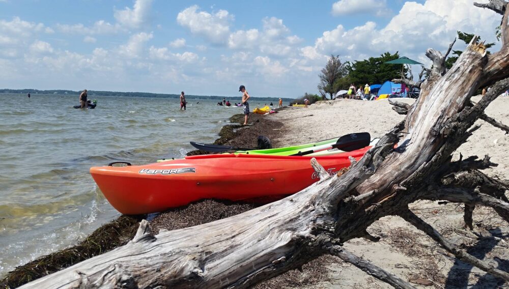 5 of Virginia’s cleanest beaches to visit 5 of Virginia’s cleanest beaches to visit