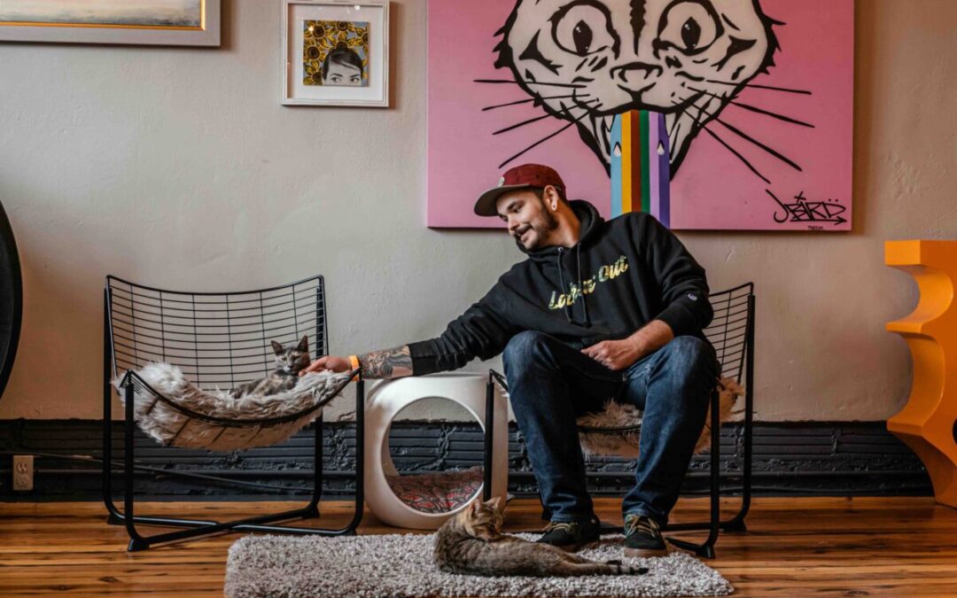 These 5 Virginia cat cafes are the cat’s meow