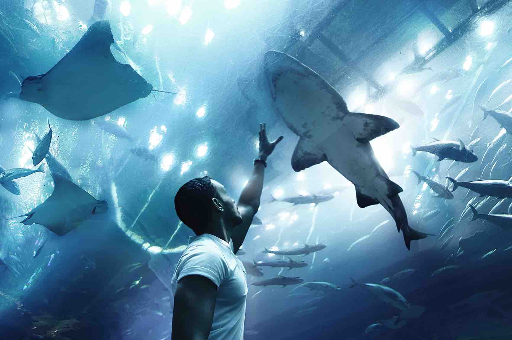 The far-right loses its mind over Kamala Harris