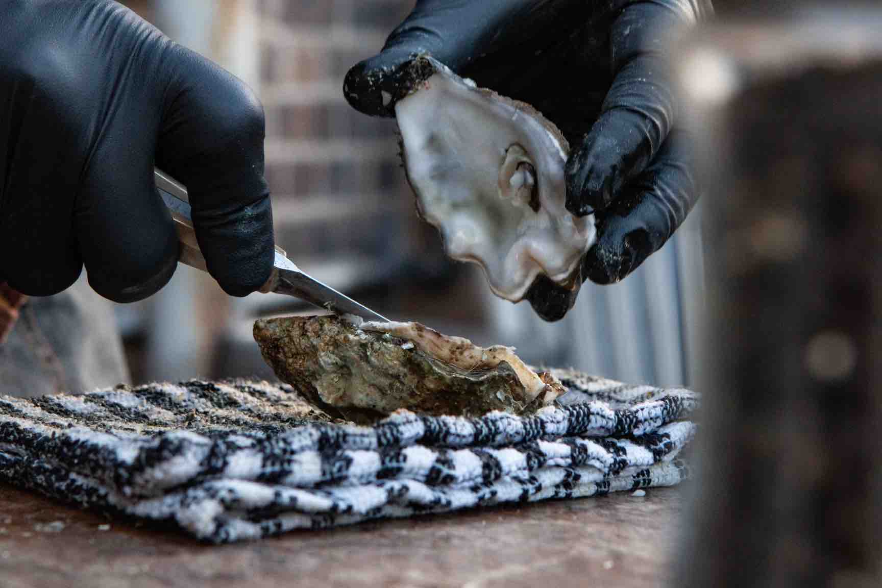 The far-right loses its mind over Kamala Harris