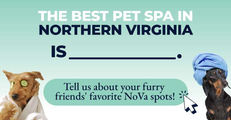 The best pet spa in Northern Virginia is___.