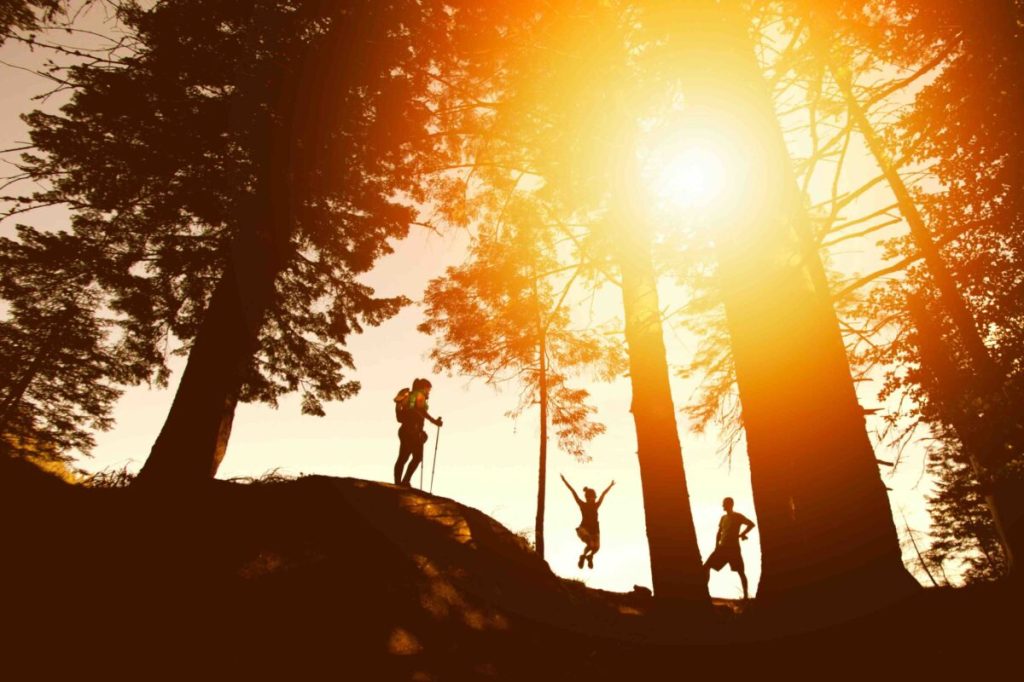 Virginia’s 10 best summer hiking trails
