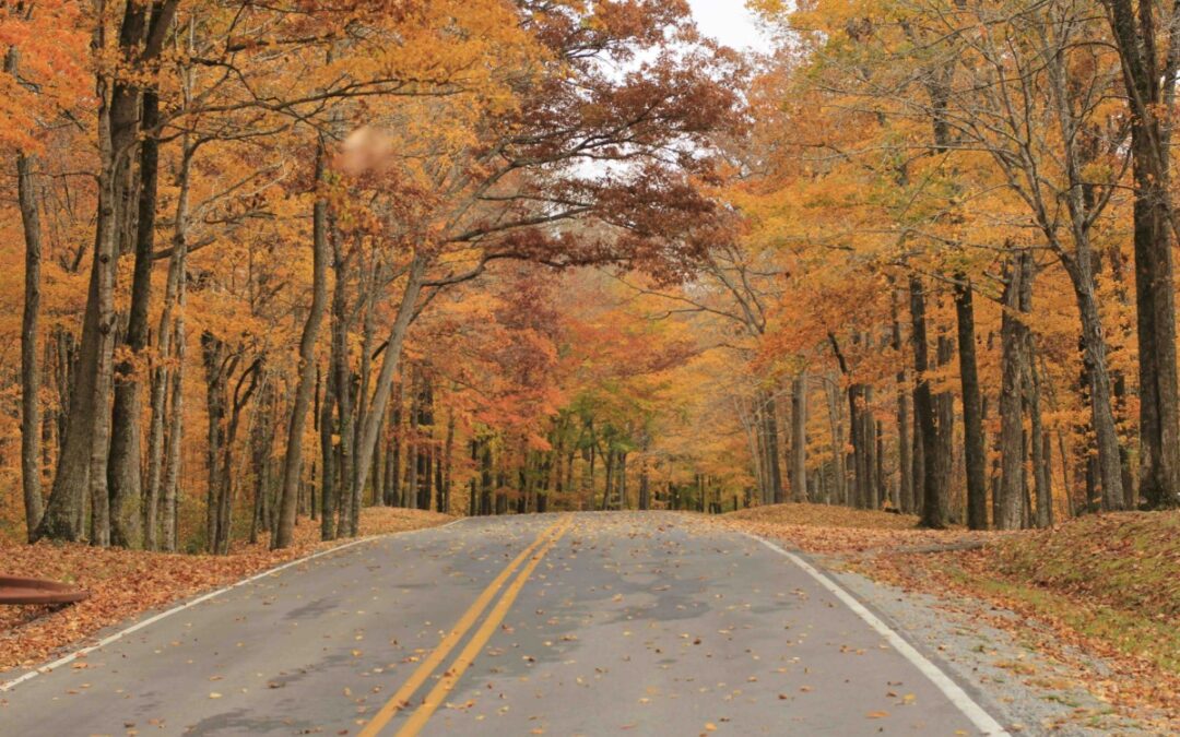 Virginia’s most scenic road trips for the fall