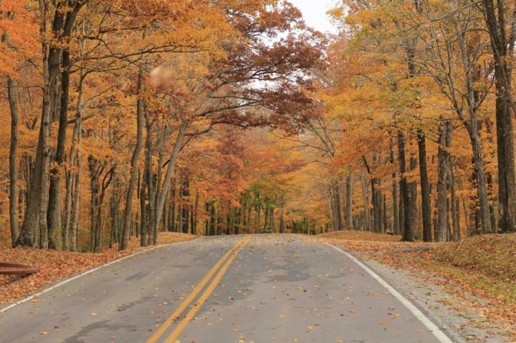 Virginia’s most scenic road trips for the fall