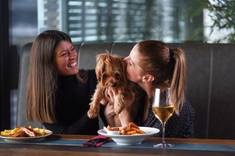 Two women kissing a Pomeranian at a pet-friendly bar.