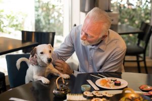 An older gentleman feeding his Jack Russel terrier at a restaurant.