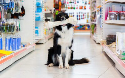 The NoVa Pet Guide: Here’s what makes this Northern Virginia pet store so special