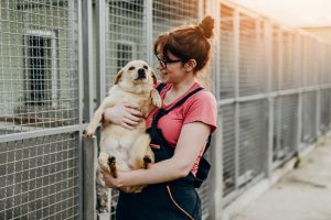 A woman adopting a small dog from a shelter.