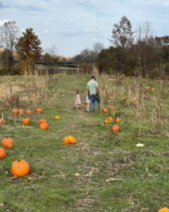 The 8 biggest & best pumpkin patches in Virginia