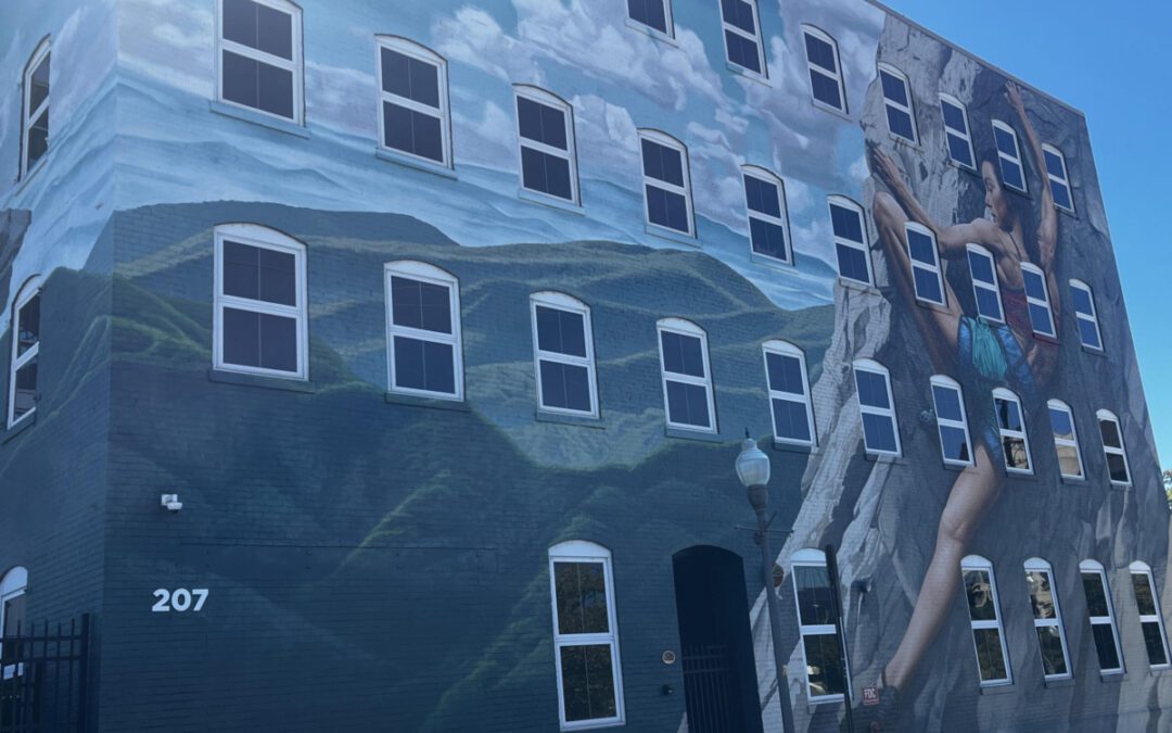 Follow our mural trail to see local art in Roanoke