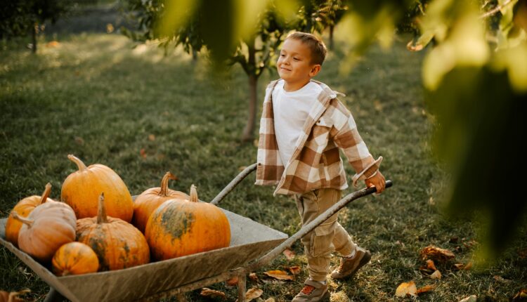 The 8 biggest & best pumpkin patches in Virginia