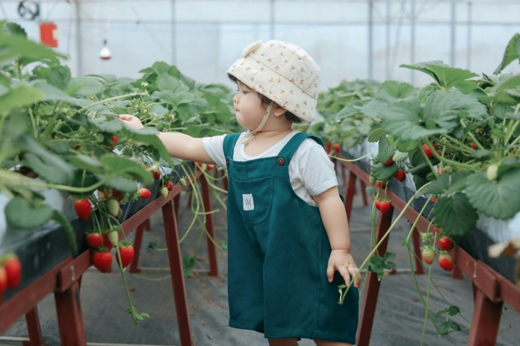 Wholesome News Hour: Lifesaving teens, unlimited strawberries, and charity for Virginia schools