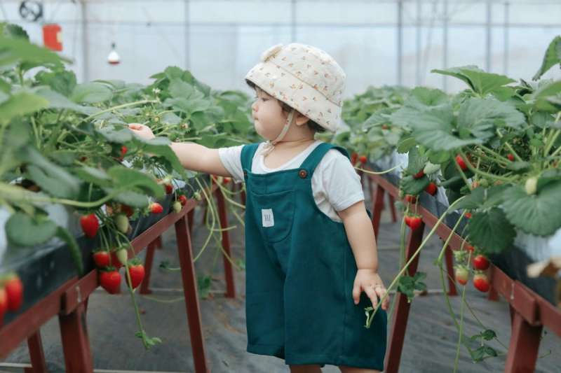 Wholesome News Hour: lifesaving teens, unlimited strawberries, and charity for Virginia schools