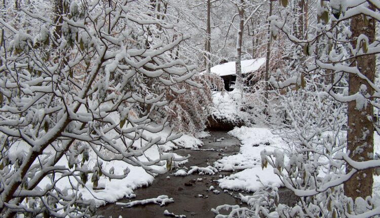 The best Virginia State Parks to enjoy in the winter