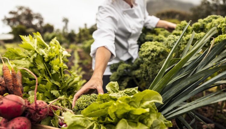 10 best farm-to-table restaurants in Virginia 10 best farm-to-table restaurants in Virginia