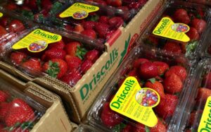 12 things you never knew about Virginia’s agriculture