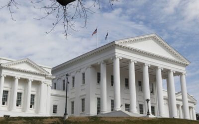 ‘The Senate was for the tea!’: A young reporter’s review of her first time covering Virginia’s General Assembly