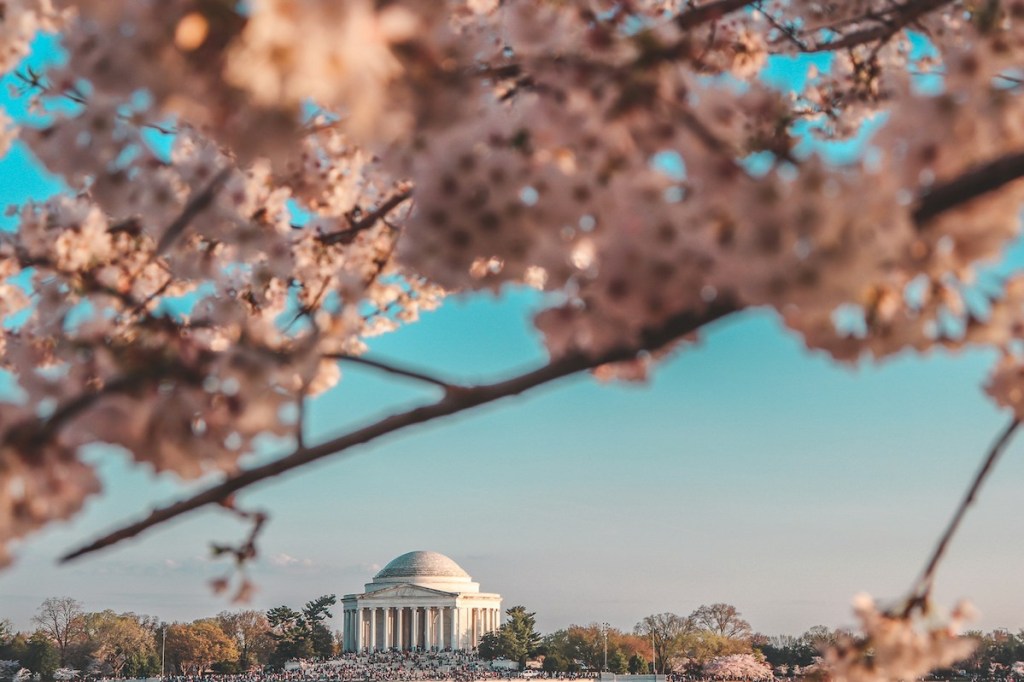 Top 10 spring activities to do in Virginia