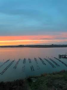 Shucking spectacular: Exploring Virginia’s Oyster Trail
