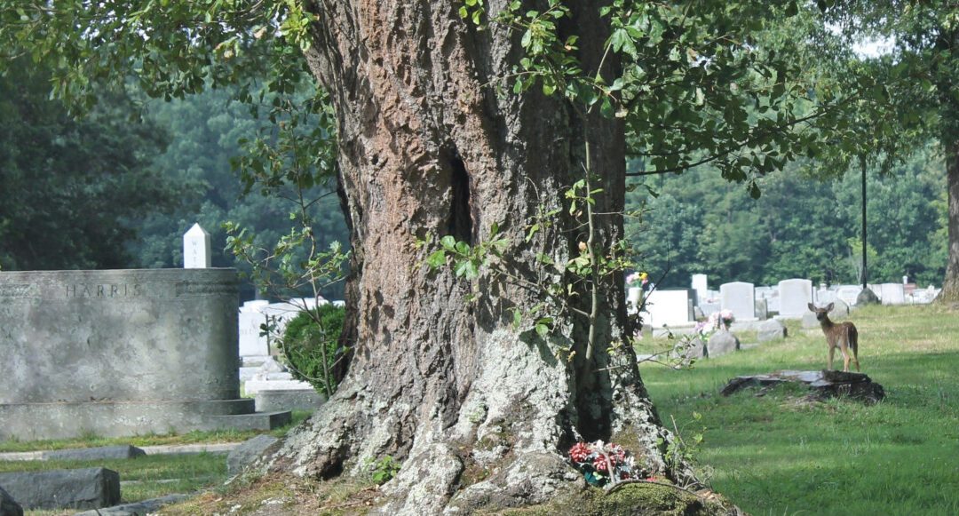 Petersburg and the true story of Memorial Day’s origins