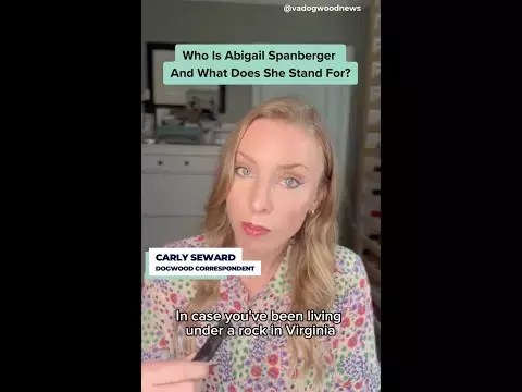 Who is Abigail Spanberger and what does she stand for?